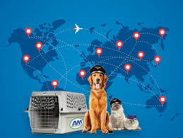 International Pet Relocation