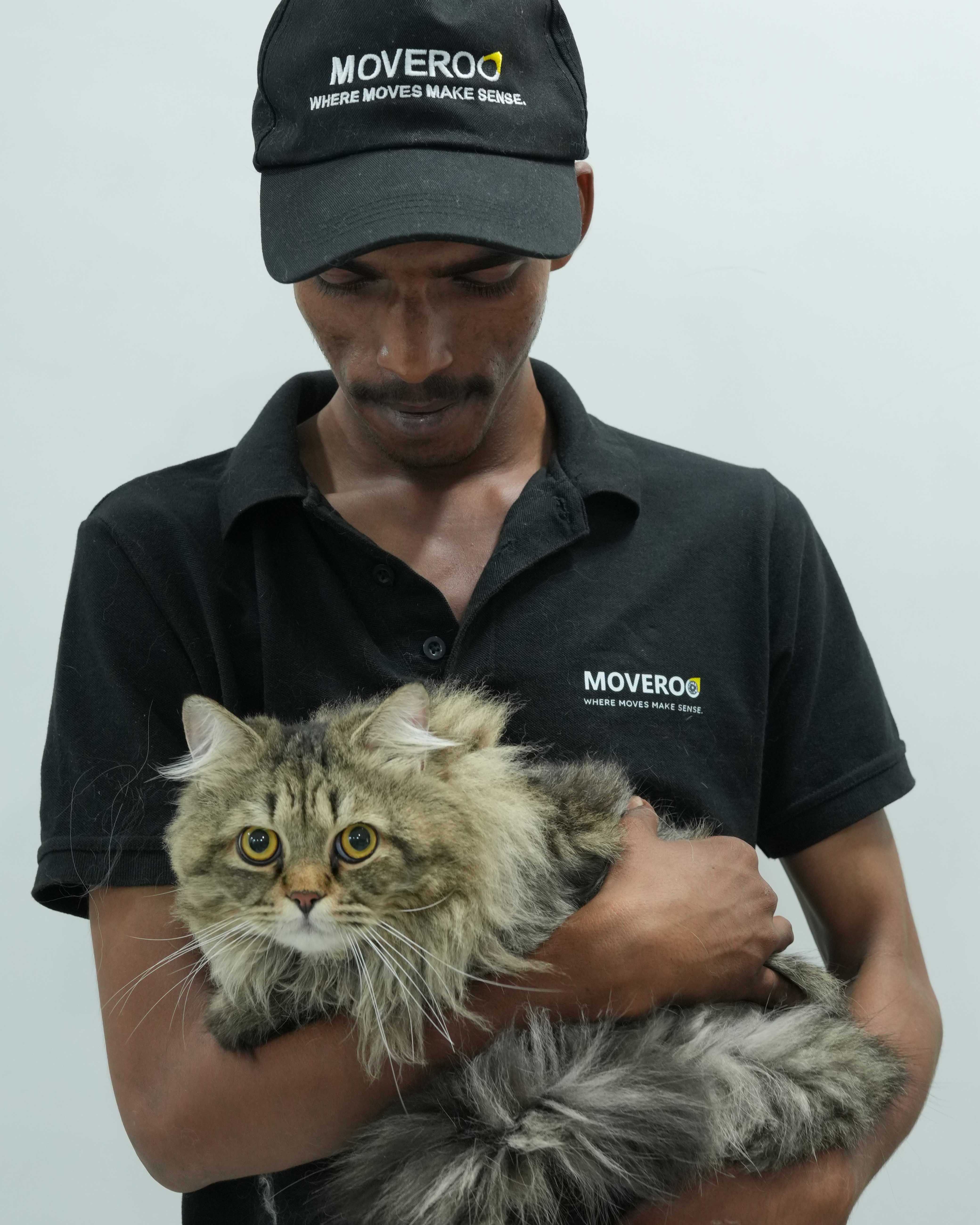 Pet Relocation by Train