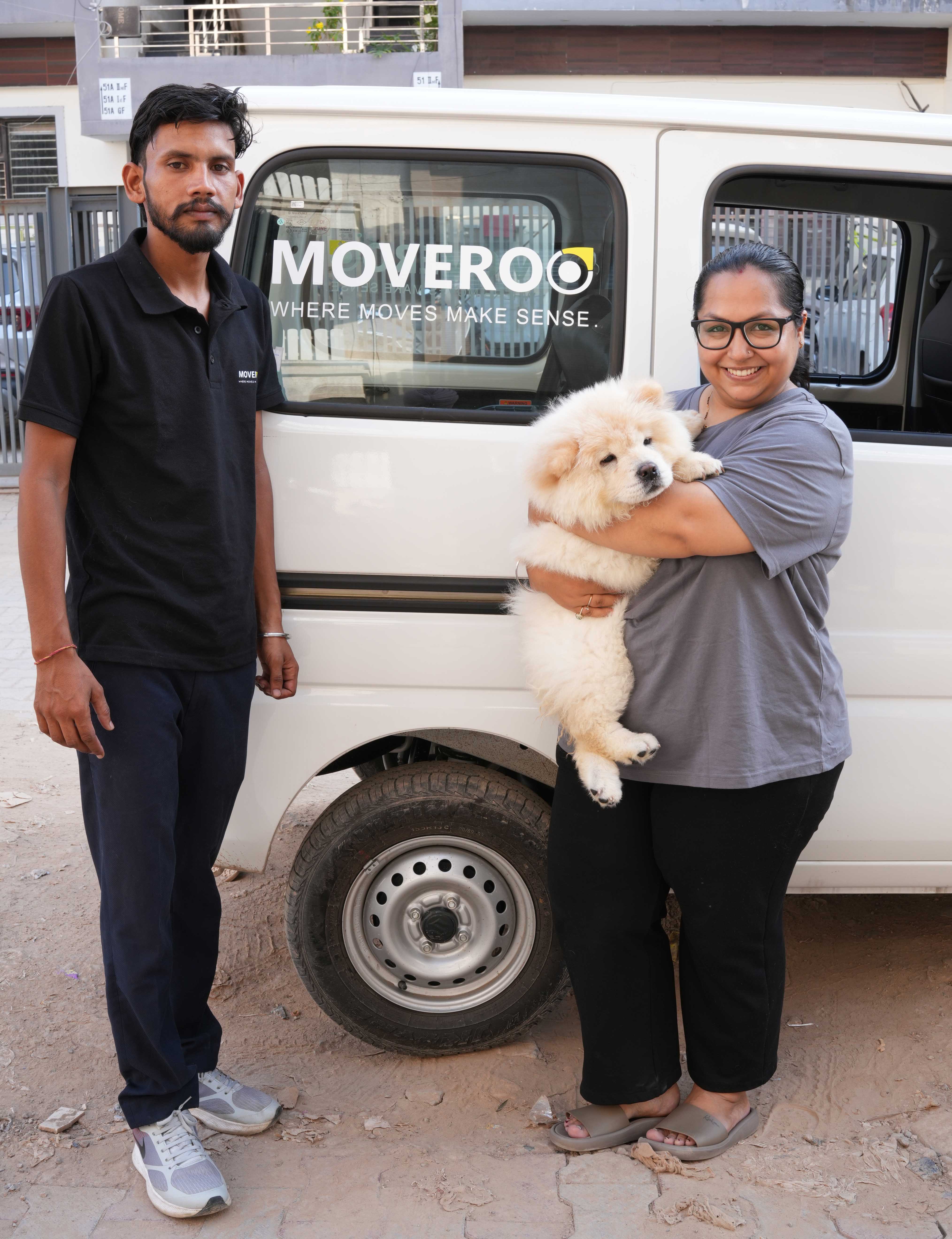 Pet Relocation by Train