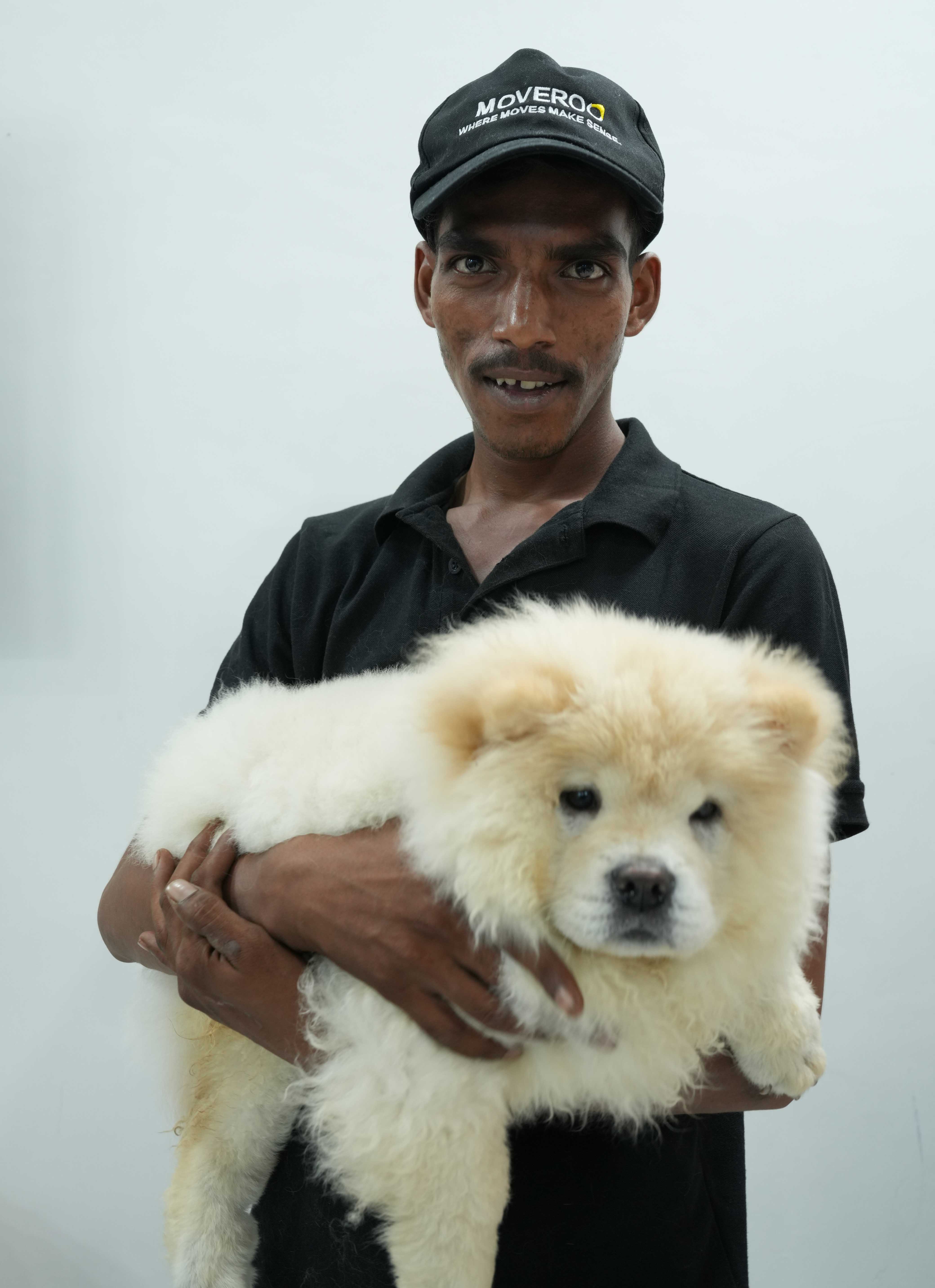 Happy pet during travel